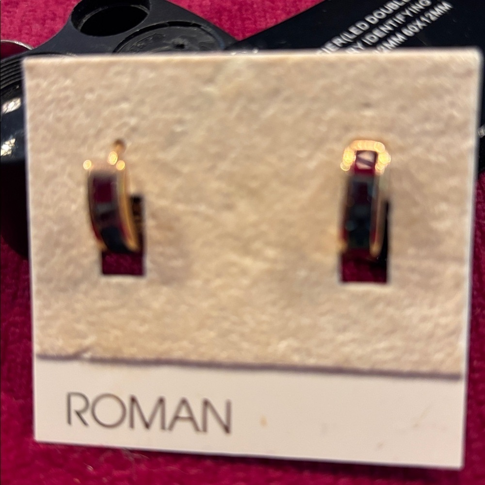 Roman Gold Tone Multi color Hoop Earrings